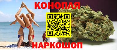 индика Дубна