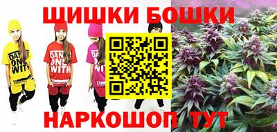 индика Дубна