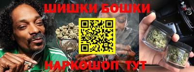 индика Дубна