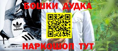 индика Дубна