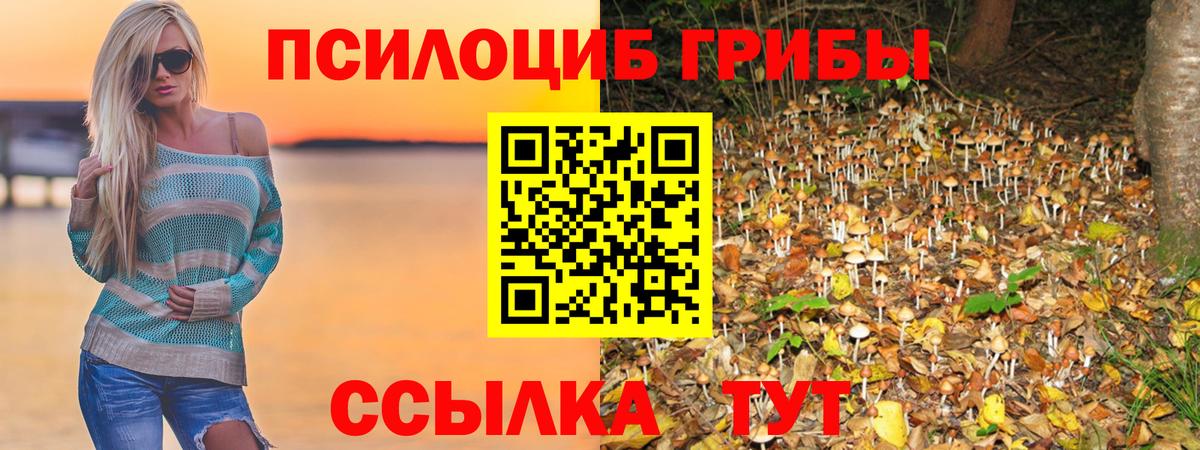 Псилоцибиновые грибы мицелий Мелеуз