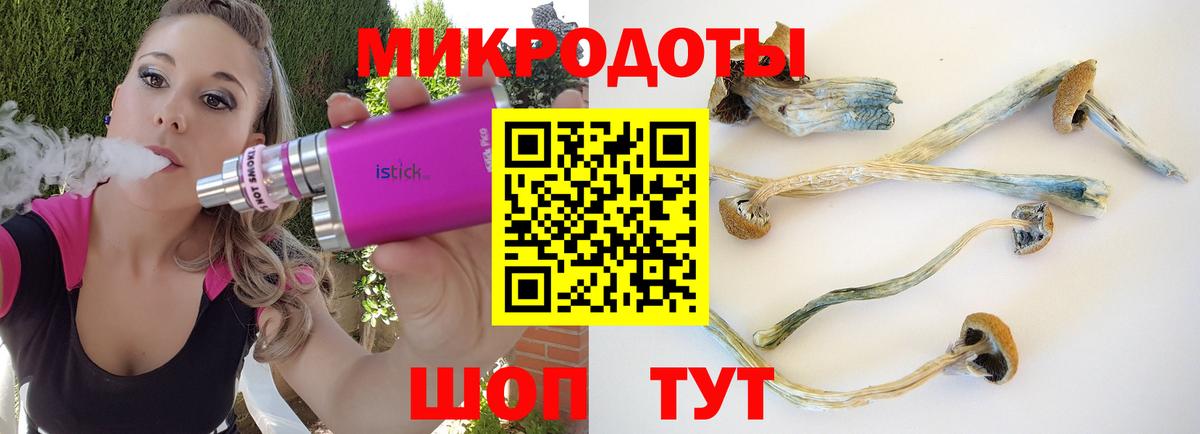 Псилоцибиновые грибы мухоморы  Вход с VPN  Псилоцибиновые грибы GOLDEN TEACHER  Мелеуз 